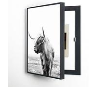Grande Scatola Decorativa con Coperchio, Adatta per contatori elettrici, dal Design Moderno, smontabile e a Parete, per Nascondere Il Quadro Elettrico, Ideale per Case e Hotel.(Color14,35 * 45cm)