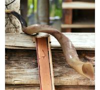 Grande Shofar ebraico da 40" completamente lucido yemenita Kudu Horn Sinagoga...