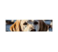 Grande striscione da appendere alla parete con cane e anatra che nuota, sfondo per feste di compleanno, per Capodanno, laurea, matrimonio, festa di compleanno, decorazione, 120 x 30 cm