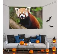 Grande striscione decorativo per feste, sfondo personalizzato da appendere alla parete, striscioni di compleanno bandiera da cortile piccolo panda rosso sfondo fotografico per feste di compleanno 119