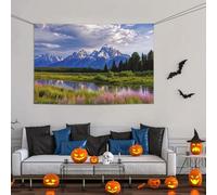 Grande striscione decorativo per feste, sfondo personalizzato da appendere alla parete, striscioni per compleanno bandiera del Grand Teton National Park Party sfondo fotografico 119 x 180 cm per