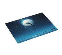 Grande tappetino scolapiatti per bancone della cucina, 45,7 x 61 cm, assorbente, con cielo notturno, luna, delfino, tappetino in microfibra con anello per appendere