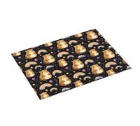 Grande tappetino scolapiatti per bancone della cucina, 45,7 x 61 cm, stampa arcobaleno di porcellini d'India, tappetino assorbente in microfibra per bancone della cucina, tappetino antiscivolo con