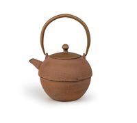 Grande teiera induttiva in ghisa, 1,2 litri, con manico e filtro in acciaio inox, ideale per tipi di tè sfusi