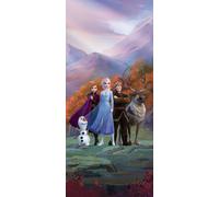 Grande Tessuto Non Murale + Adesivo Elsa Disney Frozen Foto Carta da Parati Olaf