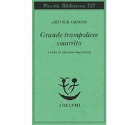 Grande trampoliere smarrito