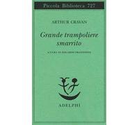 Grande trampoliere smarrito