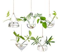 Grande vaso da appendere in vetro, per piante grasse, terrario, per interni ed esterni, set da 3 pezzi, con corda per casa, giardino, lampadina+triangolo+gocce d'acqua, 5Pc/Set