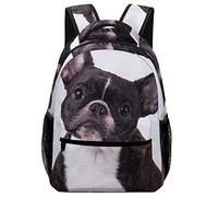 Grande zaino per la scuola per ragazzi e ragazze divertente capra trifoglio leggero zaino da viaggio borsa per libri, taglia unica, Adorabile Bull Dog francese, One Size