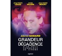 Grandeur et décadence d'un petit commerce de cinéma