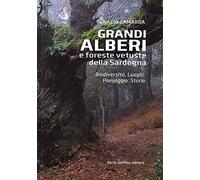 Grandi alberi e foreste vetuste della Sardegna. Biodiversità, luoghi, paesaggio, storia. Ediz. a colori