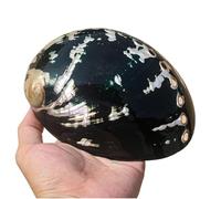 Grandi Conchiglie Marine, Conchiglia Naturale, Conchiglia di Abalone da 11-15 cm, Grande Conchiglia Naturale con più Fori, Decorativa, for Decorazioni artistiche e for la casa(14cm)