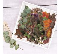 Grandi Dimensioni Adesivi per Scrapbooking, NogaMoga 80 Pezzi Pianta Secca Stile Adesivi Decalcomanie Adesivi Trasparenti Adesivo Decorativo per Laptop Diario Fai-da-Te Album Foto Scrapbooking - 4 Set