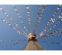 Grandi Fairtrade tibetane Bandiere di preghiera sulla lunga serie - 25 flags - lunghezza della stringa complessiva di circa 680 centimetri, ognuna misure bandiera circa 25 cm per 16 centimetri
