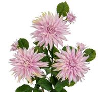 Grandi fiori artificiali di dalia con steli lunghi, 3 fiori finti rosa e 3 boccioli finti decorativi, composizioni floreali per la casa, soggiorno, cucina, matrimoni, decorazioni per feste