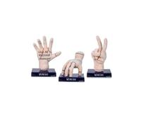 Grandi Giochi Wednesday Mercoledì Peluche Mano 40 cm Assortiti