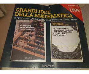 GRANDI IDEE DELLA MATEMATICA PRIMA USCITA 1 IN PRINCIPIO ERA IL NUMERO HACHETTE