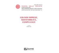 Grandi imprese, sostenibilità, compliance