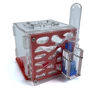 GrandSail Set di formiche acriliche per principianti - nido moderno con irrigazione automatica, facile da costruire, bassa manutenzione, ideale per principianti - rosso arancio