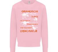 Grandson Voi Sono il Mio Favourite Dinosauro Uomo Felpa Maglione
