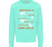 Grandson Voi Sono il Mio Favourite Dinosauro Uomo Felpa Maglione