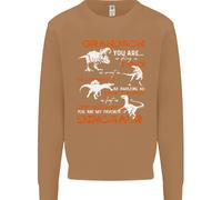 Grandson Voi Sono il Mio Favourite Dinosauro Uomo Felpa Maglione