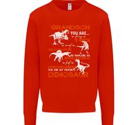 Grandson Voi Sono il Mio Favourite Dinosauro Uomo Felpa Maglione
