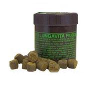 Grani di Lungavita Fiuggi benessere del transito intestinale 1kg