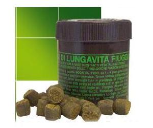 Grani di LungaVita Fiuggi - Integratore intestinale - 35 g
