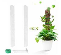 Granmagazz Palo di Muschio in Plastica 24 Pollici Moss Pole Con 2 Pezzi, Cinturino, 3 Chiodi