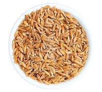 Grano khorasan KAMUT® in chicchi 500 g BIO