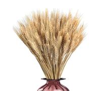 Grano Secco 40 Cm, 100 Pezzi Bouquet Di Er-ba Secca Naturale, Spighe Di Grano Naturali Per Casa, Ufficio, Scuola, Negozi, Centri Commerciali, Matrimoni All'aperto In Stile Boho, Anniversari