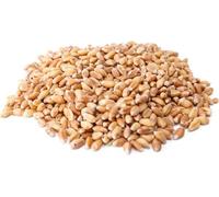 Grano Tenero in chicchi 1Kg BIO