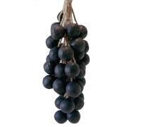 Grape Cluster Soap on a Rope, Handcrafted Grapes Soap, Handcrafted Grape Soap on a Rope, Handmade Grapes-Shaped Soaps With gift box (40,Black)