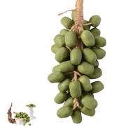 Grape Soap on a Rope, Grape Cluster Soap Handmade Decorative Bath & Body Grapes Bunch Soaps for Shower, Exquisite Home Decor and Gift Choice (1 pezzo, Twenty Pills)
