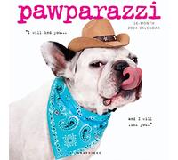 Graphique Calendario da parete 2024 Pawparazzi | 30,5 cm x 30,5 cm | Carta spessa | Organizzatore per casa e ufficio | Griglia mensile grande | 3 lingue e vacanze contrassegnate | Pagina di anteprima di 4 mesi per il 2025