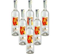 Grappa di Moscato Novella Vallebelbo Cesare Pavese Grappe 6 bottiglie 75 cl.