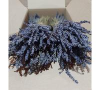 Grappoli di lavanda biologica essiccata greca 300 steli ciascuno 1-22 mazzetti