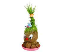 Grass Head Doll - Educational Growing Grass Head Pot For Kids | Hydroponic Mini Plant Decoration And Fun Growing Toy | For Kindergarten Classroom Children Science Project, 1 Pack (Random Tray Color)