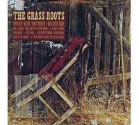 Grass Roots - Where Were You When I Needed You