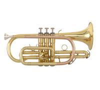 Grassi cornetta sib SC240 Laccata