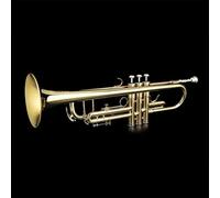 Grassi GR TR210 Tromba in Sib, Laccato