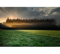 Grassland - Puzzle da 8000 pezzi per adulti, decorazione da parete per la casa, 14 anni+