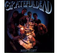 Grateful Dead - Built to last (1989) [VINYL]