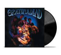 The Grateful Dead Built to Last (Vinyl LP) 12" Album