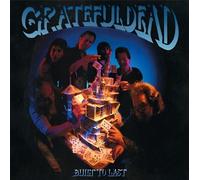 The Grateful Dead Built to Last (Vinyl LP) 12" Album