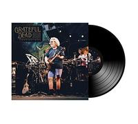The Grateful De Mountain View 1994: Shoreline Ampitheatre Broadcast - (Vinyl LP)