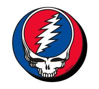 Grateful Dead Steal Your Face Magnet Funky Chunky