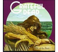 Grateful Dead - Wake of the Flood