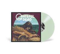 The Grateful Dead Wake of the Flood (Vinyl LP)